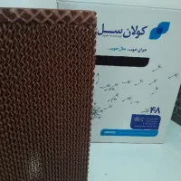 پد سلولزی