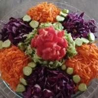 انواع سالاد با قیمت استثنایی