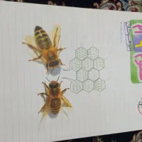 کتاب علوم 9 خیلی سبز