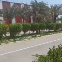 هرس وباغبانی
