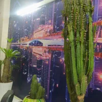 اآپارتمان نوساز پو واحدی