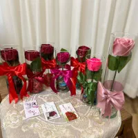 گل روبانی جاودان|گل مصنوعی|رشت, حمیدیان|دیوار