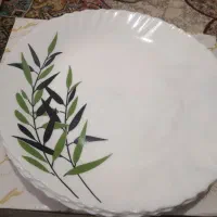 آرکوپال هندی 50تیکه نو|ظروف سرو و پذیرایی|تهران, گلستان (شهرک راه آهن)|دیوار