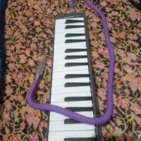 سازمولودیکامدل سوزوکی|پیانو، کیبورد، آکاردئون|آزادشهر, |دیوار