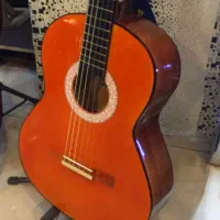 فروش گیتار نو