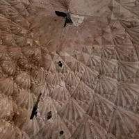 گچ بر جهت تعمیرات نیازمندیم