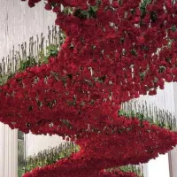 دیزاین گل|خدمات پذیرایی، مراسم|مشهد, امیر|دیوار