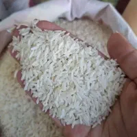 عرضه مستقیم انواع برنج