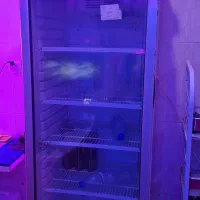 یخچال 70 سانتی ایستاده درحدنو