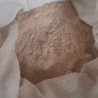 جفکه بلوط