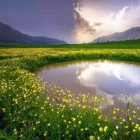 نیاز کار با گوشی می خواهم