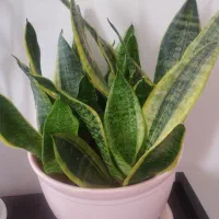 زمین-وآب-کشاورزی