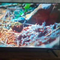 تلویزیون43اینچ ایکس ویژن فروشی