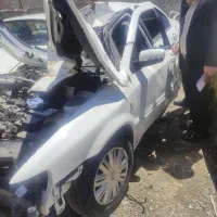 سمند تصادفی ۲گانه مدل ۴۰۲