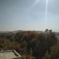 سه-خوابه-ویو-دار