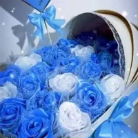 باکس نوزادی|گل و گیاه طبیعی|قم, زند آباد|دیوار