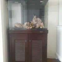 آکواریوم شیشه خم