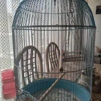 قفس خارجی