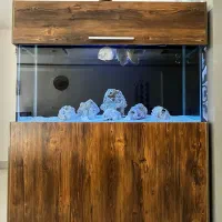 اکواریوم|ماهی|بردسکن, |دیوار