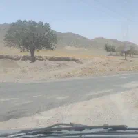 مسافر از زاهدان به نهبندان بیرجند مشهد