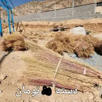 جارو باغی دستی