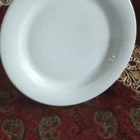 ۳ عدد بشقاب پلوخوری سالم نو چینی زرین کواترو