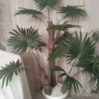 درختچه مصنوعی وگلهای مصنوعی|گل مصنوعی|قدس, شهرقدس|دیوار