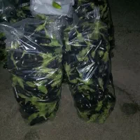 بادمجان تازه شیرین