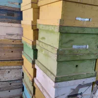 کندو و تبق زنبورداری