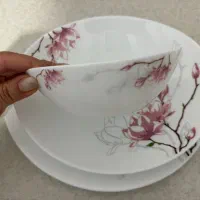 سرویس آرکوپال در حد نو