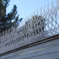 فروش حفاظ خاری شاخ گوزنی بوته ای