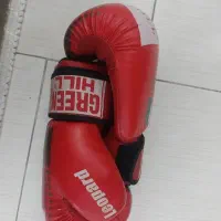 وسایل بوکس|تجهیزات ورزشی|فردیس, داوری|دیوار