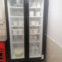 یخچال|یخچال و فریزر|قم, چهل درخت‎|دیوار