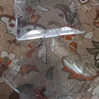 بشقاب چینی گل سرخ نو|ظروف سرو و پذیرایی|خوی, |دیوار