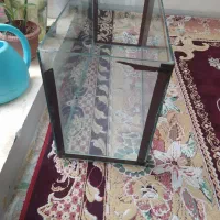 اکواریوم بزرگ|ماهی|شیراز, کوزه گری|دیوار