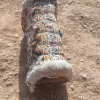 پالان الاغ|لوازم جانبی حیوانات|سده (خراسان جنوبی), |دیوار