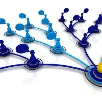 یک نیروی کار برای باشگاه بانوان