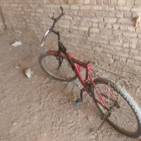 دو عدد دوچرخه