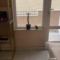 اجاره تخت برای کاشت و اتاق برای لیزر