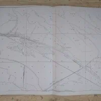 باغ انگور یاقوتی ۳۰۰۰ متری|فروش دفتر صنعتی، کشاورزی، تجاری|شیراز, ویلاشهر|دیوار