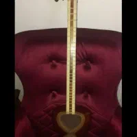 تار داریوش دو مهر