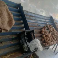قفسه آهنی میوه