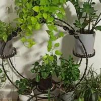 استندفلزی گلدان 6 طبقه چرخ دار