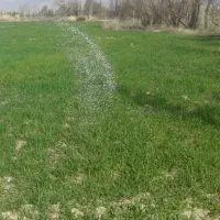 فروش-زمین-کشاورزی-جهت-گلخانه