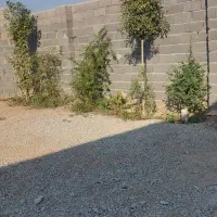 باغچه ۴۹۶ متر  محمد ابادعرب ها|فروش خانه و ویلا|جوادآباد, |دیوار