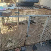 قفس آهنی مرتب وضخیم دودرب سنگین