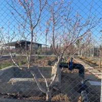 باغچه ۵۰۰‌متری شهرکی سند‌ تک‌برگ‌ کنتور‌ برق|فروش زمین و ملک کلنگی|رامجین, |دیوار