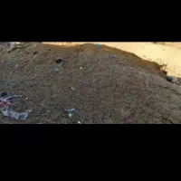 پهن گوسفندی کهنه