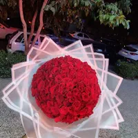۲۰شاخه گل رز هلندی|گل و گیاه طبیعی|مشهد, دانشجو|دیوار