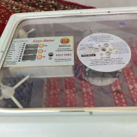 دستگاه جوجه کشی ایزی باتور 2|لوازم جانبی حیوانات|تربت جام, جامرود|دیوار